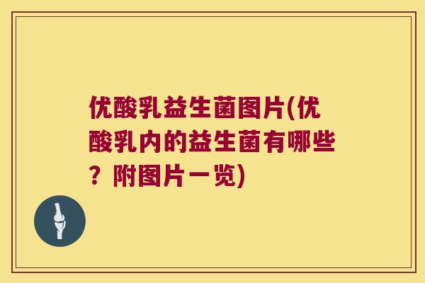 优酸乳益生菌图片(优酸乳内的益生菌有哪些?附图片一览) 优酸乳益生菌图片(优酸乳内的益生菌有哪些?附图片一览)