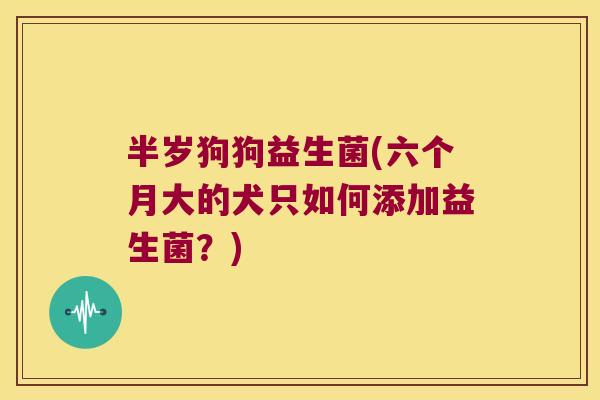 半岁狗狗益生菌(六个月大的犬只如何添加益生菌？)