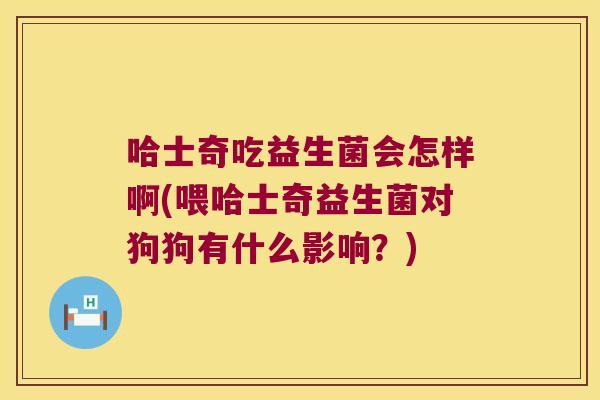 哈士奇吃益生菌会怎样啊(喂哈士奇益生菌对狗狗有什么影响？)