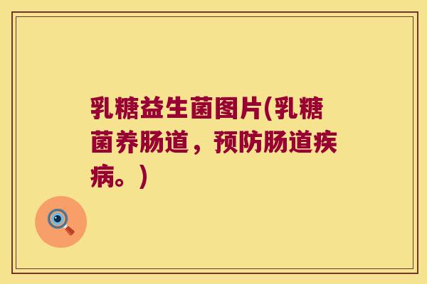 乳糖益生菌图片(乳糖菌养肠道，肠道。)