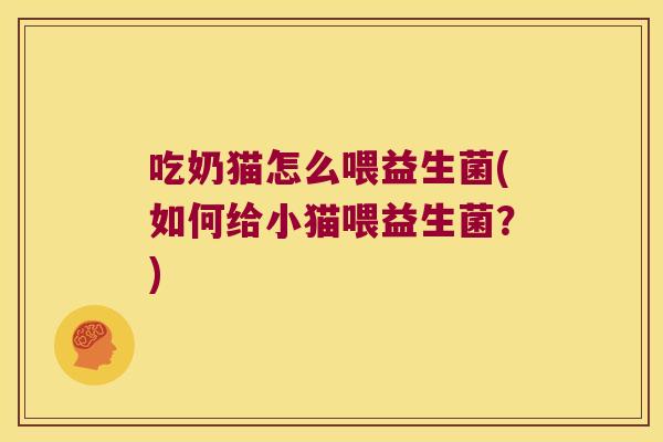 吃奶猫怎么喂益生菌(如何给小猫喂益生菌？)