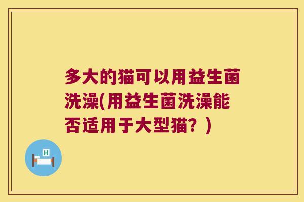 多大的猫可以用益生菌洗澡(用益生菌洗澡能否适用于大型猫？)