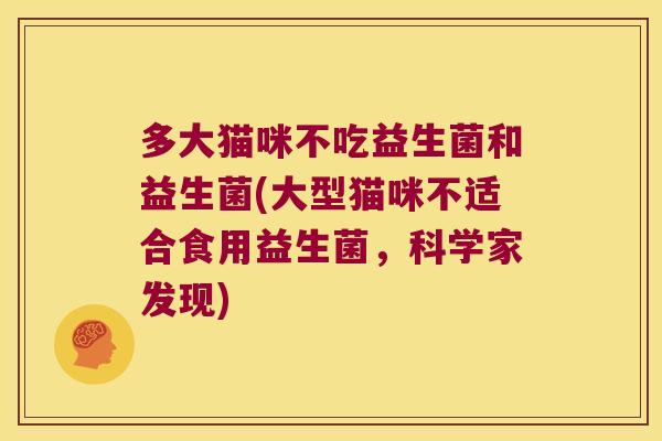 多大猫咪不吃益生菌和益生菌(大型猫咪不适合食用益生菌，科学家发现)