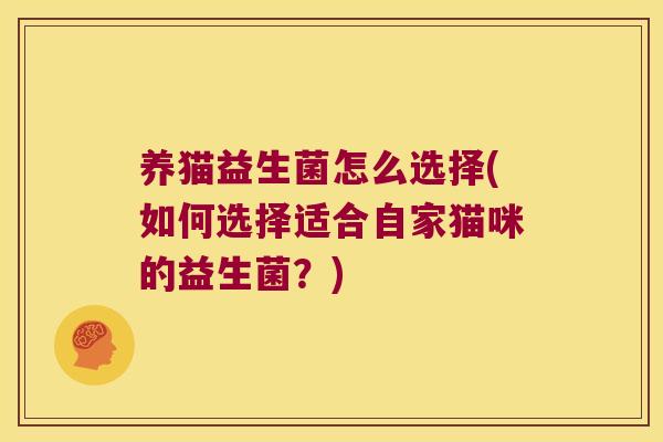 养猫益生菌怎么选择(如何选择适合自家猫咪的益生菌？)