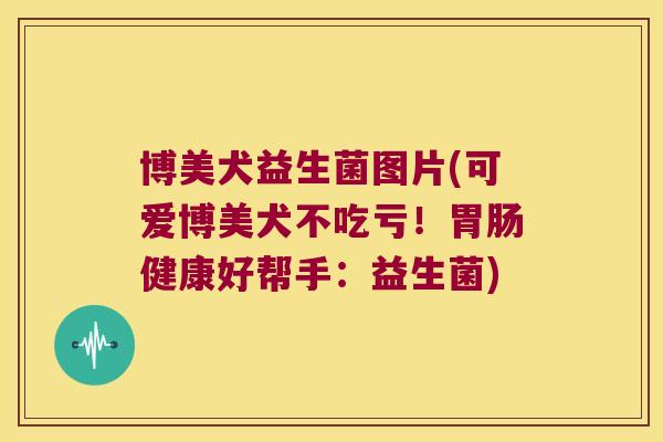 博美犬益生菌图片(可爱博美犬不吃亏!健康好帮手:益生菌) 博美犬益生菌图片(可爱博美犬不吃亏!健康好帮手:益生菌)