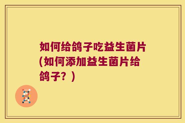 如何给鸽子吃益生菌片(如何添加益生菌片给鸽子？)