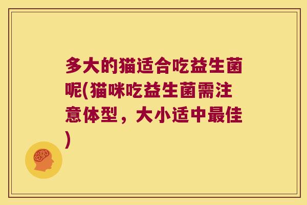 多大的猫适合吃益生菌呢(猫咪吃益生菌需注意体型，大小适中佳)