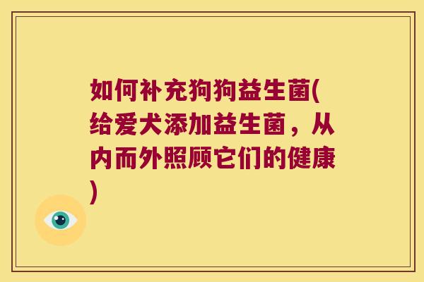 如何补充狗狗益生菌(给爱犬添加益生菌，从内而外照顾它们的健康)