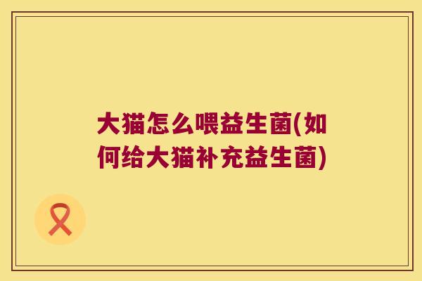 大猫怎么喂益生菌(如何给大猫补充益生菌) 大猫怎么喂益生菌(如何给大猫补充益生菌)