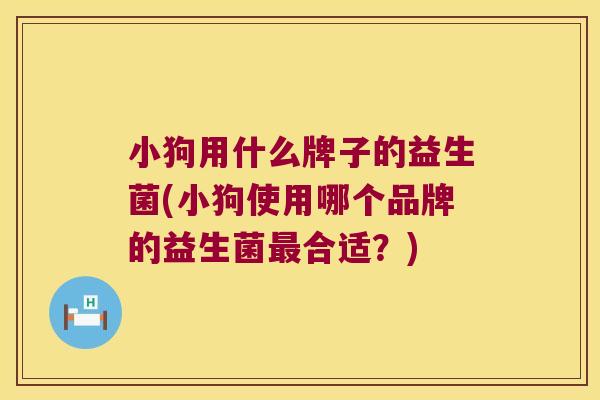 小狗用什么牌子的益生菌(小狗使用哪个品牌的益生菌最合适？)