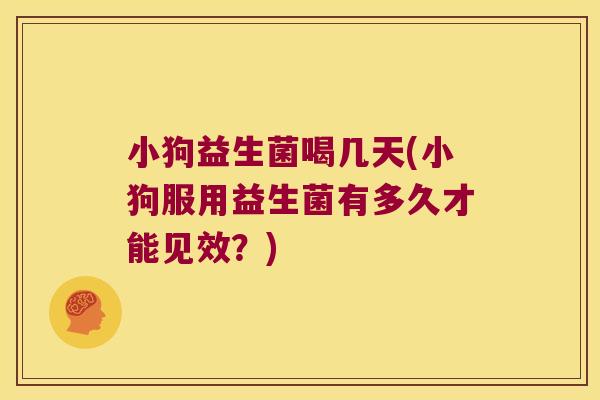 小狗益生菌喝几天(小狗服用益生菌有多久才能见效？)