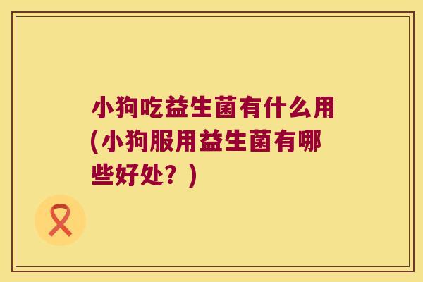 小狗吃益生菌有什么用(小狗服用益生菌有哪些好处?) 小狗吃益生菌有什么用(小狗服用益生菌有哪些好处?)