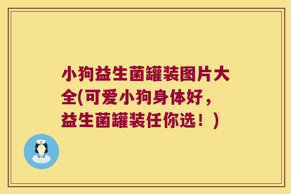 小狗益生菌罐装图片大全(可爱小狗身体好,益生菌罐装任你选!) 小狗益生菌罐装图片大全(可爱小狗身体好,益生菌罐装任你选!)