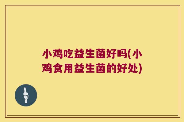 小鸡吃益生菌好吗(小鸡食用益生菌的好处)