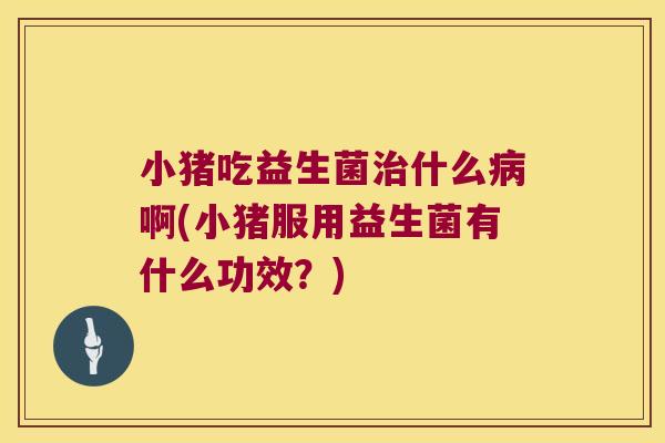 小猪吃益生菌治什么病啊(小猪服用益生菌有什么功效？)