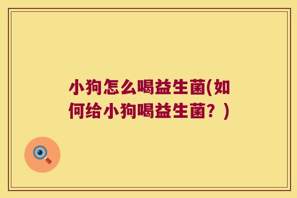 小狗怎么喝益生菌(如何给小狗喝益生菌？)