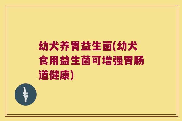 幼犬养胃益生菌(幼犬食用益生菌可增强道健康)