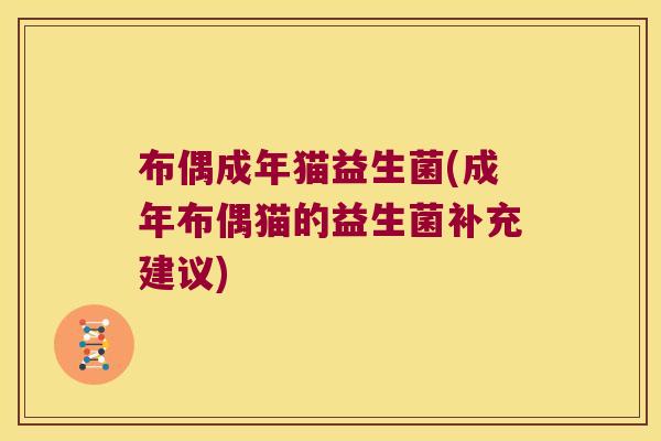 布偶成年猫益生菌(成年布偶猫的益生菌补充建议)