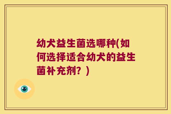 幼犬益生菌选哪种(如何选择适合幼犬的益生菌补充剂？)