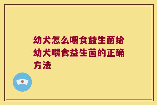 幼犬怎么喂食益生菌给幼犬喂食益生菌的正确方法