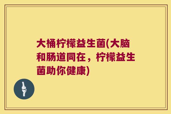 大桶柠檬益生菌(大脑和肠道同在，柠檬益生菌助你健康)