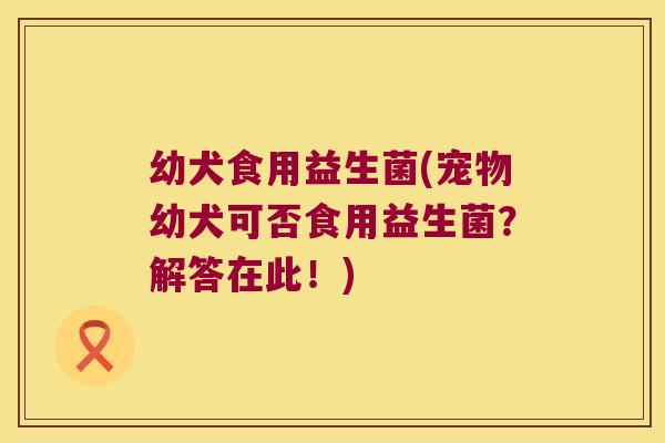 幼犬食用益生菌(宠物幼犬可否食用益生菌？解答在此！)