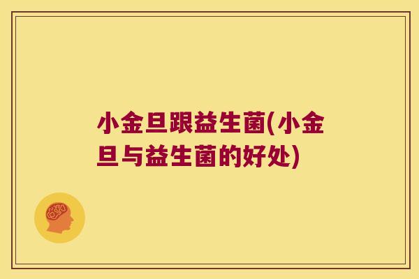 小金旦跟益生菌(小金旦与益生菌的好处)