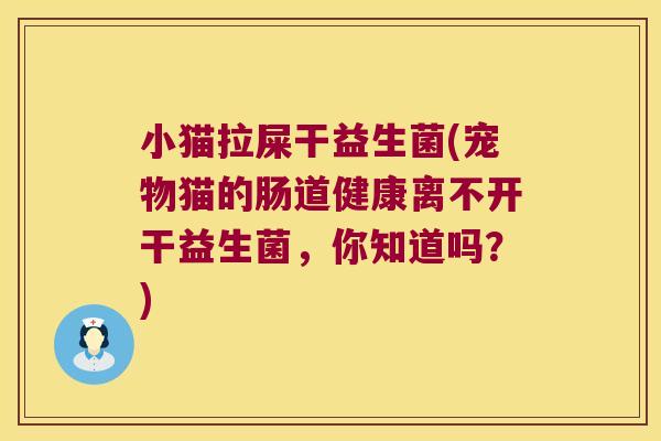 小猫拉屎干益生菌(宠物猫的肠道健康离不开干益生菌，你知道吗？)