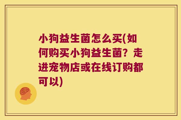 小狗益生菌怎么买(如何购买小狗益生菌？走进宠物店或在线订购都可以)