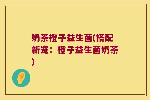 奶茶橙子益生菌(搭配新宠：橙子益生菌奶茶)
