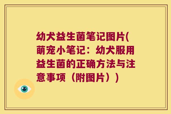 幼犬益生菌笔记图片(萌宠小笔记:幼犬服用益生菌的正确方法与注意事项(附图片)) 幼犬益生菌笔记图片(萌宠小笔记:幼犬服用益生菌的正确方法与注意事项(附图片))