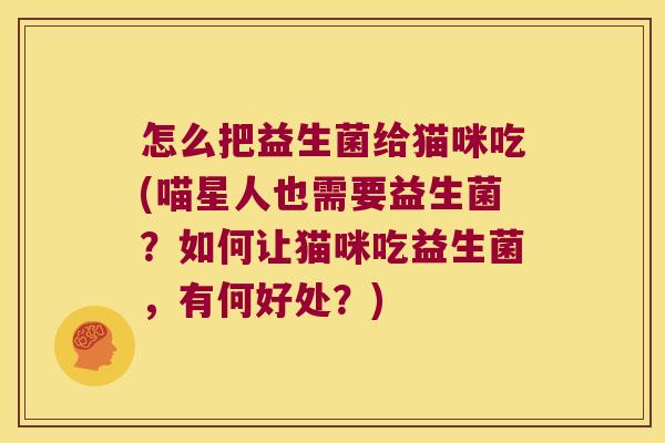 怎么把益生菌给猫咪吃(喵星人也需要益生菌？如何让猫咪吃益生菌，有何好处？)