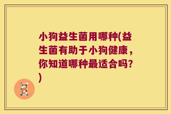 小狗益生菌用哪种(益生菌有助于小狗健康,你知道哪种适合吗?) 小狗益生菌用哪种(益生菌有助于小狗健康,你知道哪种适合吗?)