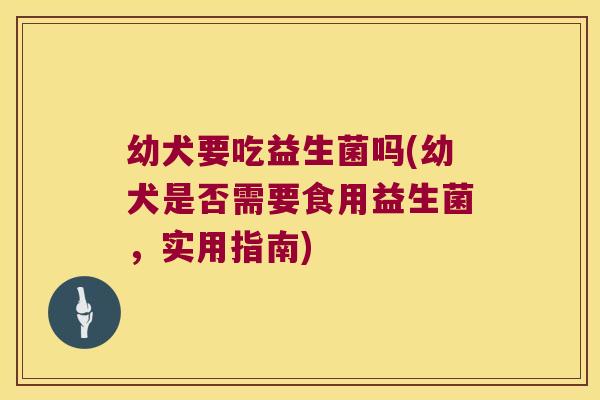 幼犬要吃益生菌吗(幼犬是否需要食用益生菌，实用指南)