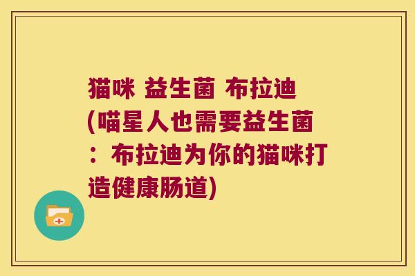 猫咪 益生菌 布拉迪(喵星人也需要益生菌：布拉迪为你的猫咪打造健康肠道)