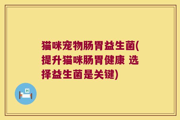 猫咪宠物肠胃益生菌(提升猫咪肠胃健康 选择益生菌是关键)