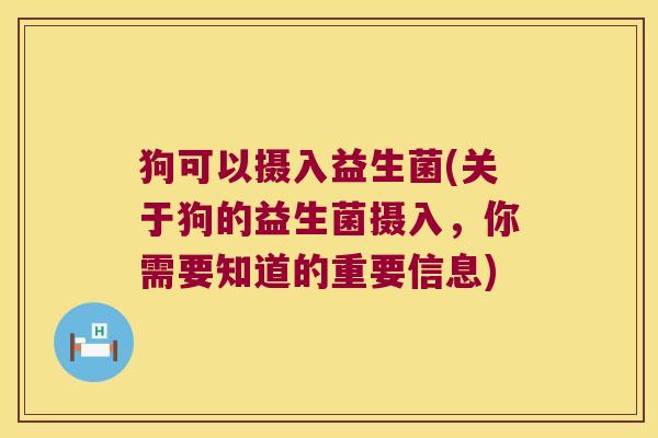狗可以摄入益生菌(关于狗的益生菌摄入，你需要知道的重要信息)