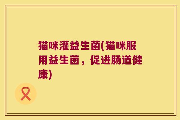 猫咪灌益生菌(猫咪服用益生菌，促进肠道健康)