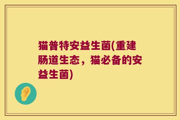 猫普特安益生菌(重建肠道生态,猫必备的安益生菌) 猫普特安益生菌(重建肠道生态,猫必备的安益生菌)