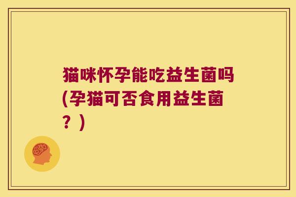 猫咪怀孕能吃益生菌吗(孕猫可否食用益生菌？)