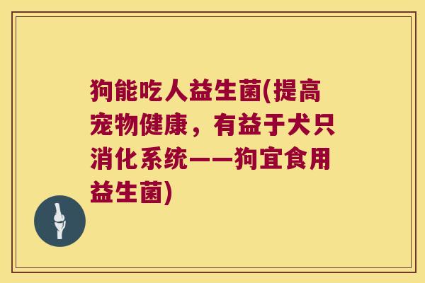 狗能吃人益生菌(提高宠物健康，有益于犬只消化系统——狗宜食用益生菌)