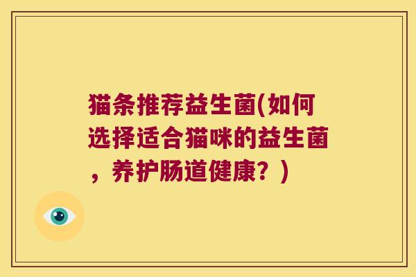 猫条推荐益生菌(如何选择适合猫咪的益生菌,养护肠道健康?) 猫条推荐益生菌(如何选择适合猫咪的益生菌,养护肠道健康?)