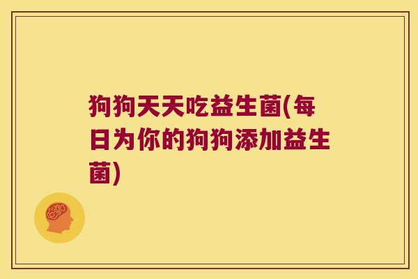 狗狗天天吃益生菌(每日为你的狗狗添加益生菌)