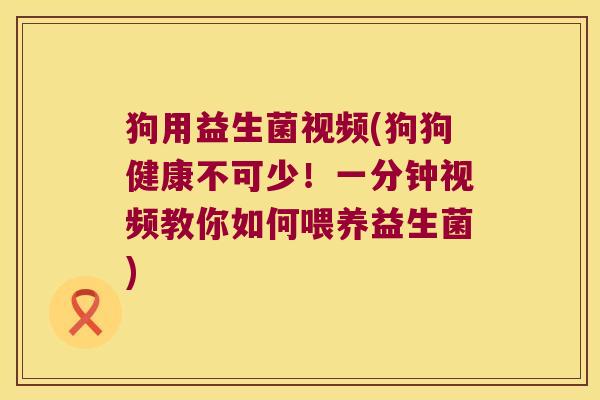 狗用益生菌视频(狗狗健康不可少！一分钟视频教你如何喂养益生菌)