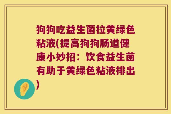 狗狗吃益生菌拉黄绿色粘液(提高狗狗肠道健康小妙招：饮食益生菌有助于黄绿色粘液排出)
