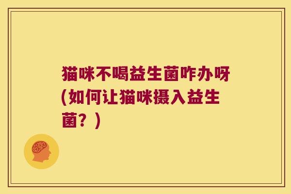猫咪不喝益生菌咋办呀(如何让猫咪摄入益生菌?) 猫咪不喝益生菌咋办呀(如何让猫咪摄入益生菌?)