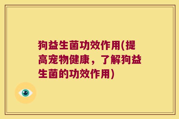 狗益生菌功效作用(提高宠物健康，了解狗益生菌的功效作用)