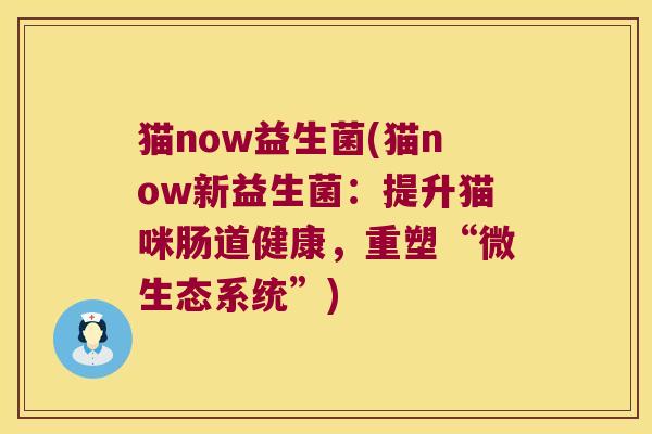 猫now益生菌(猫now新益生菌：提升猫咪肠道健康，重塑“微生态系统”)
