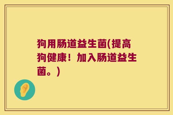 狗用肠道益生菌(提高狗健康！加入肠道益生菌。)