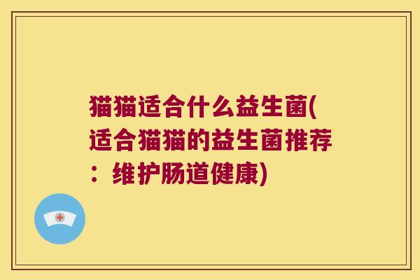 猫猫适合什么益生菌(适合猫猫的益生菌推荐:维护肠道健康) 猫猫适合什么益生菌(适合猫猫的益生菌推荐:维护肠道健康)